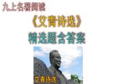 九上语文名著阅读《艾青诗选》精选题及答案课件PPT