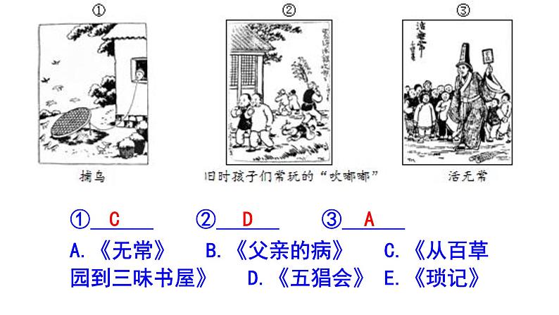 七年级语文上册名著阅读《朝花夕拾》精选题含答案课件PPT第3页