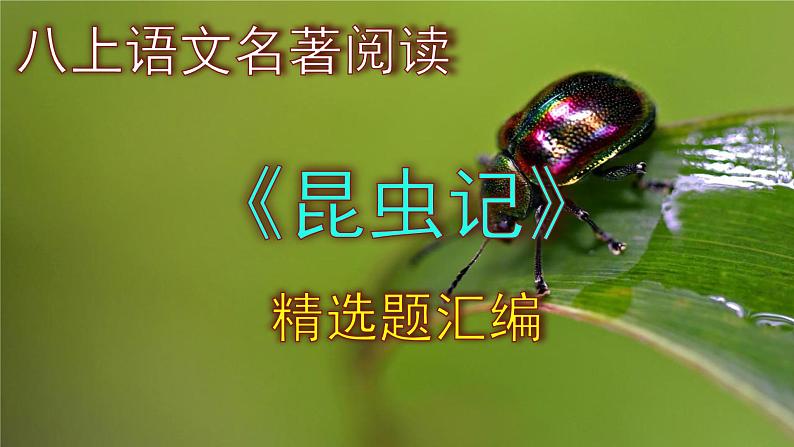 八上语文名著阅读《昆虫记》精选题汇编课件PPT01