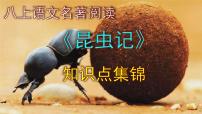 人教部编版八年级上册名著导读 《昆虫记》：科普作品的阅读完美版课件ppt