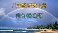 八上语文病句精选题含答案课件PPT