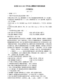 四川省资阳市安岳县2022-2023学年八年级上学期期末语文试题