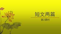 语文七年级下册爱莲说课堂教学ppt课件