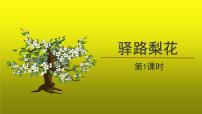 人教部编版七年级下册15 驿路梨花教学演示课件ppt