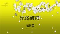 语文人教部编版第四单元15 驿路梨花评课课件ppt