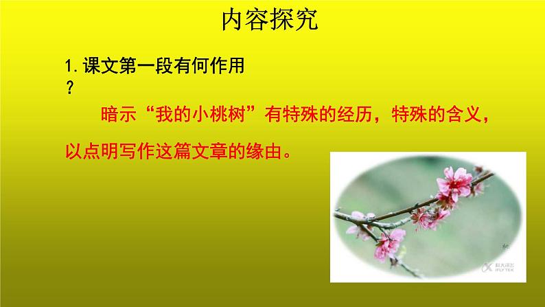 《一棵小桃树》培优创新【课件】第2课时02