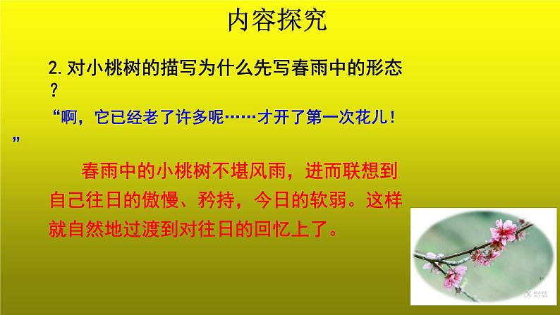 《一棵小桃树》培优创新【课件】第2课时03