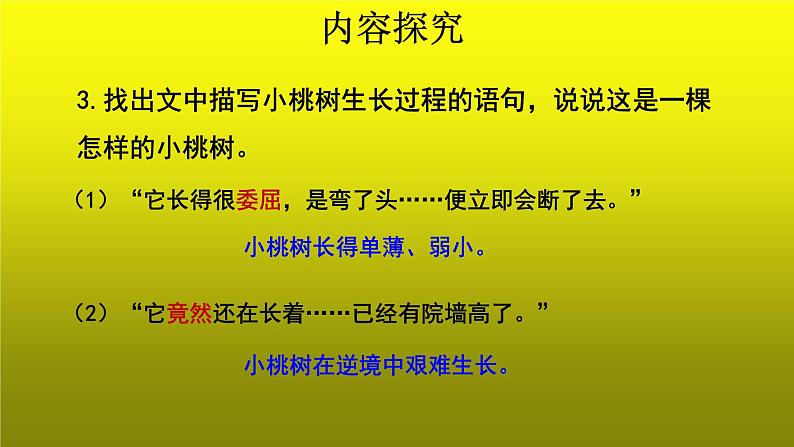 《一棵小桃树》培优创新【课件】第2课时04