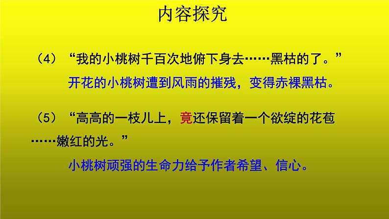《一棵小桃树》培优创新【课件】第2课时06