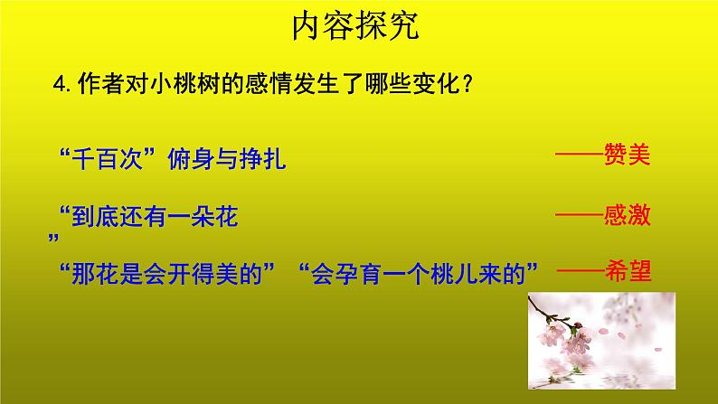 《一棵小桃树》培优创新【课件】第2课时08
