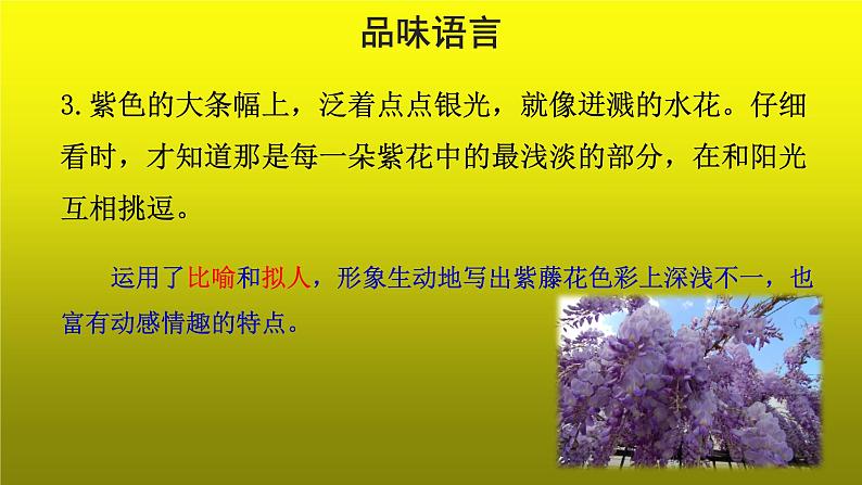 《紫藤萝瀑布》培优创新【课件】第2课时第4页
