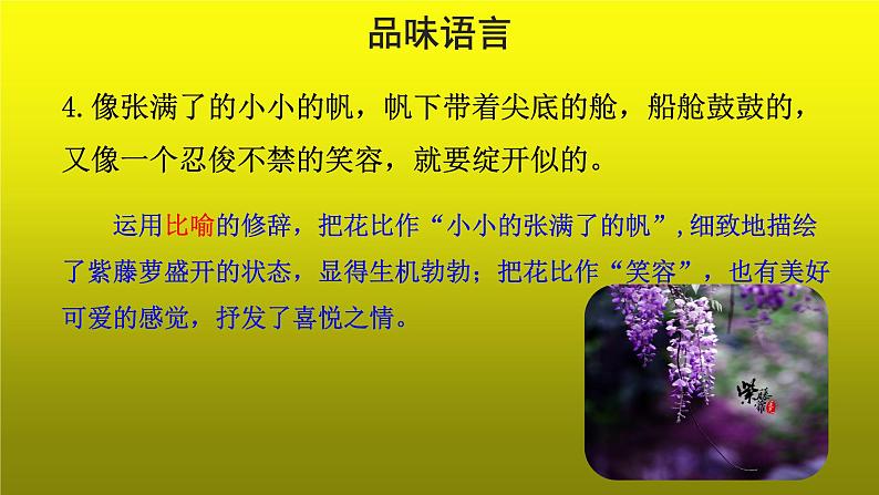 《紫藤萝瀑布》培优创新【课件】第2课时第5页