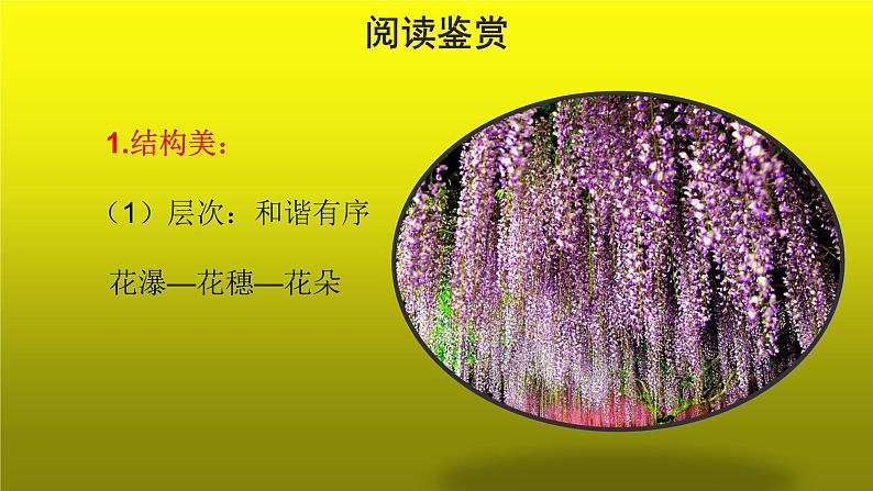 《紫藤萝瀑布》培优创新【课件】第2课时第7页