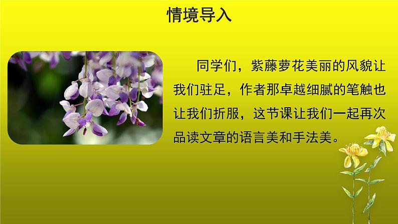 《紫藤萝瀑布》优质课创新【课件】第2课时03