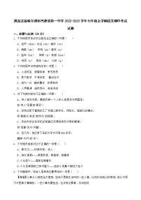黑龙江省哈尔滨市巴彦县第一中学2022-2023学年七年级上学期期中考试语文试卷(含答案)