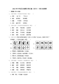 全国各地2022年中考语文真题分类汇编（汉字）-字形-选择题