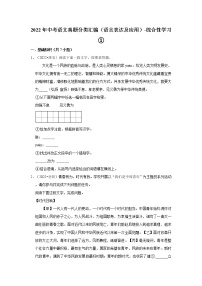 全国各地2022年中考语文真题分类汇编（语言表达及应用）-综合性学习①