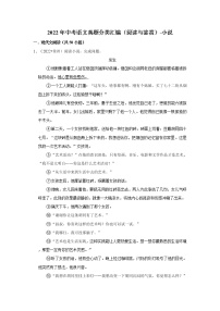 全国各地2022年中考语文真题分类汇编（阅读与鉴赏）-小说