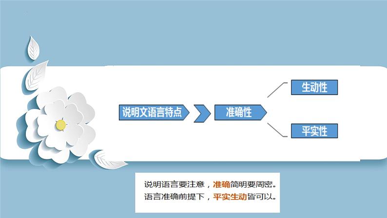 2023年中考语文一轮复习：说明文阅读之说明语言  课件第3页