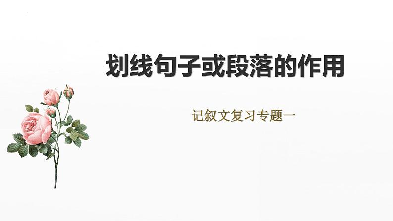 2023年中考一轮复习《记叙文复习之句子或段落作用》课件第1页