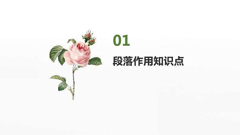 2023年中考一轮复习《记叙文复习之句子或段落作用》课件第6页