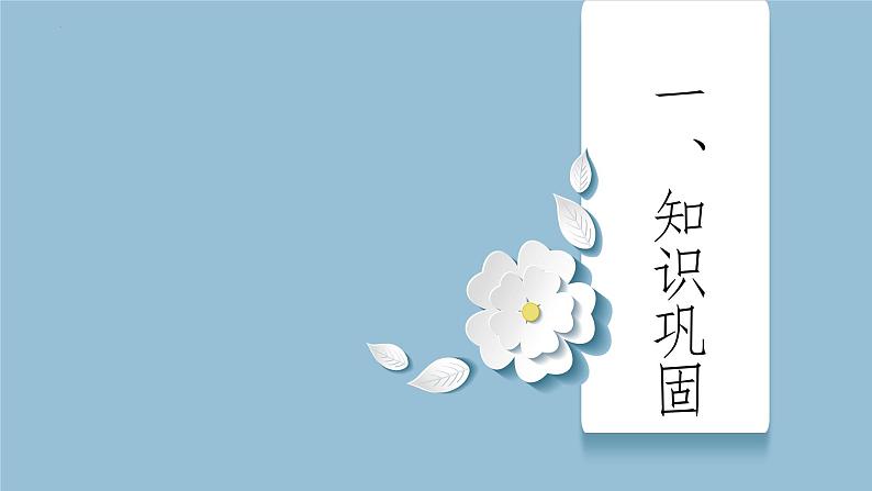 2023年中考语文一轮复习《说明文阅读之说明方法》课件第4页