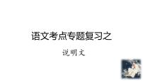 说明文考点专项复习   课件  2023年中考语文一轮复习