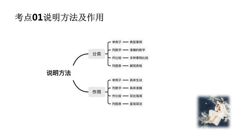 说明文考点专项复习   课件  2023年中考语文一轮复习第2页