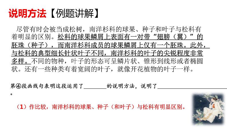 说明文考点专项复习   课件  2023年中考语文一轮复习第5页