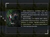溜索    课件