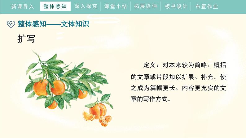 写作《学习扩写》 课件教案练习07