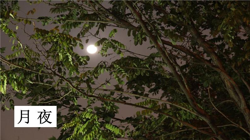 第3课《短诗五首》 课件学案练习08