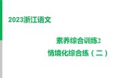 2023浙江中考语文 素养综合训练2　情境化综合练（二） 课件