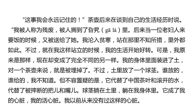 2023浙江中考语文 素养综合训练9　童话、寓言阅读 课件第5页