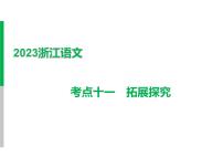 2023 浙江中考语文 一轮复习 阅读 专题一　文学作品阅读  三、常考考点答题技巧及典例精析 考点十一　拓展探究课件PPT