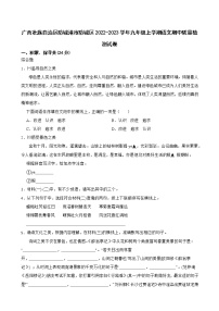 广西壮族自治区防城港市防城区2022-2023学年九年级上学期期中质量检测语文试卷(含答案)