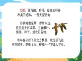 人教八下语文 第2单元 7《大雁归来》 PPT课件