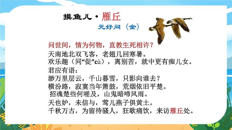 人教八下语文 第2单元 7《大雁归来》 PPT课件第5页