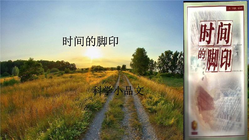 人教八下语文 第2单元 8《时间的脚印》 PPT课件第2页