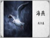 4课 海燕 课件—九年级下册语文部编版