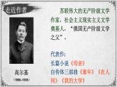 4课 海燕 课件—九年级下册语文部编版