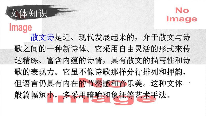 4课 海燕 课件—九年级下册语文部编版06