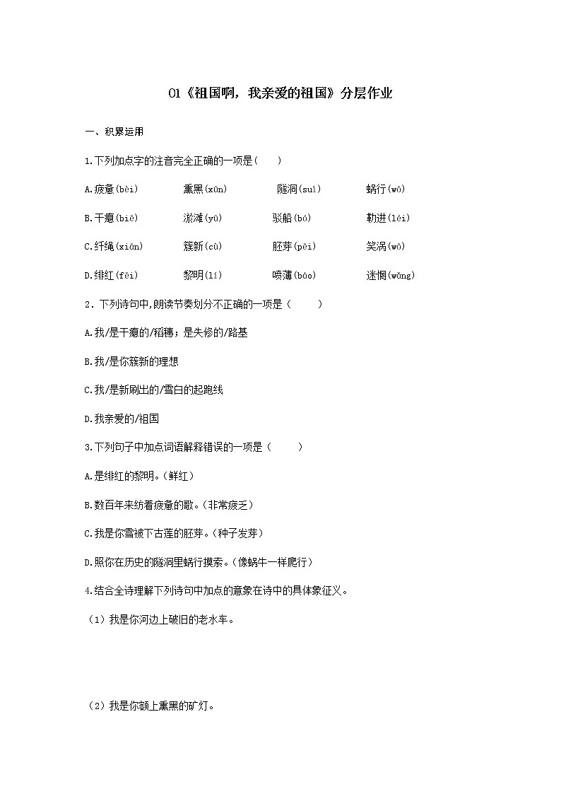 第1课《祖国啊，我亲爱的祖国》（分层作业）-九年级语文下册同步备课系列（部编版）01