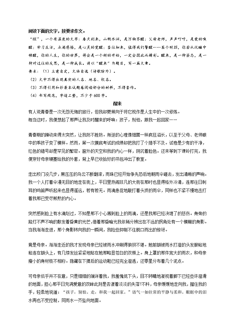 专题79  《醒来》《诗词亦风雅》《那一刻，闪闪发光的你》《坚持的力量》《未来，我们在路上》-最新冲刺中考语文作文押题预测及优质范文展示第1页