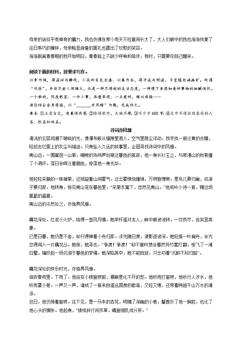 专题79  《醒来》《诗词亦风雅》《那一刻，闪闪发光的你》《坚持的力量》《未来，我们在路上》-最新冲刺中考语文作文押题预测及优质范文展示第2页