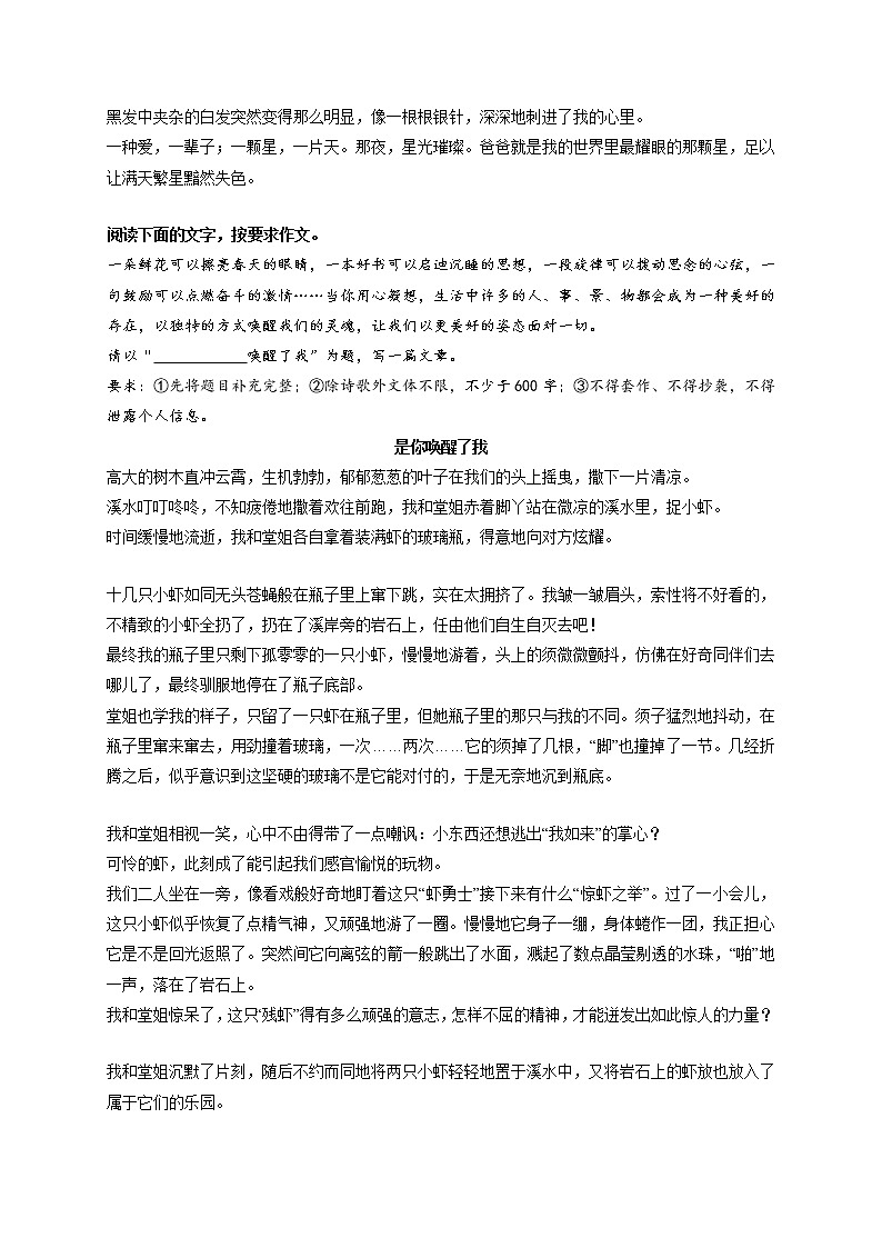 专题78  《梅花香自苦寒来》《穿透黑夜看星光》《是你唤醒了我》《跨越自己》《给远方亲人的一封信》-最新冲刺中考语文作文押题预测及优质范文展示第3页