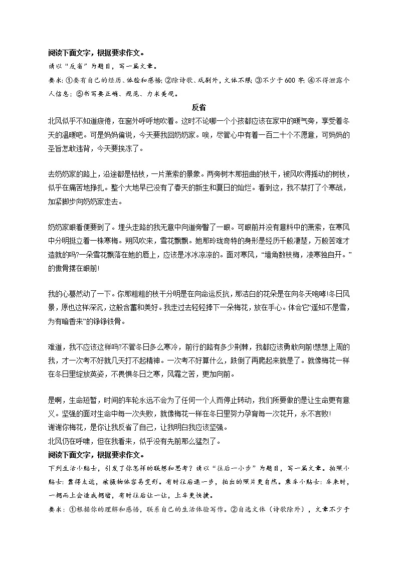 专题36  《反省》《往后一小步》《那一片属于我的天空》《那声音，常在我心田》《遇见》-最新冲刺中考语文作文押题预测及优质范文展示第1页