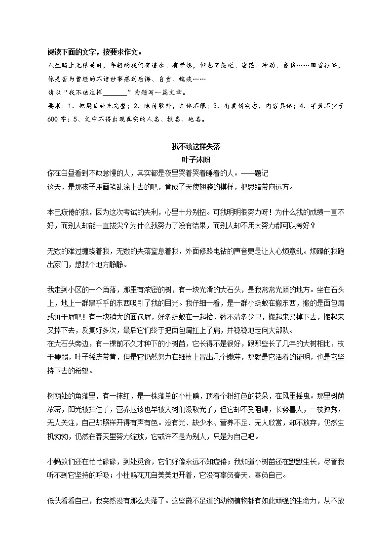 专题10  《深藏在心底的芬芳》《我不该这样失落》《缝隙里的绝美光亮》《哦，我就在幸福里》《你是我最重要的人》《变与不变》-最新冲刺中考语文作文押题预测及优质范文展示第2页