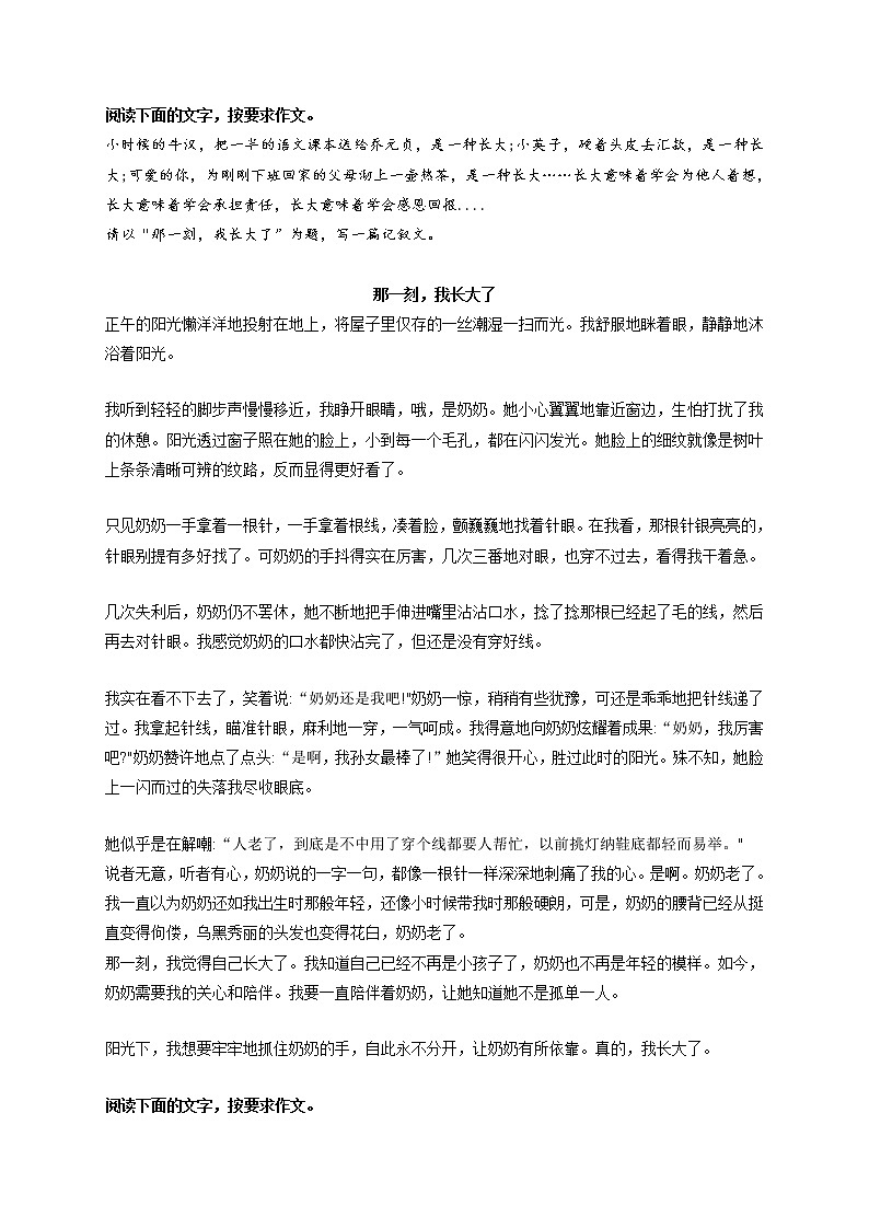 专题09  《那一刻，我长大了》《拼搏，我的青春旋律》《难忘那失望的眼神》《我读懂了夜的心跳》《我以扁担为知己》-最新冲刺中考语文作文押题预测及优质范文展示第1页