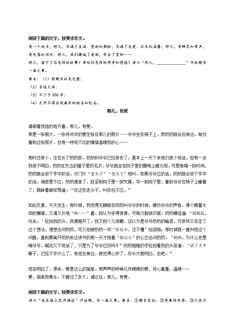 专题04  《朝着阳光奔跑》《那儿，有爱》《成长之路花开满径》《那些灿烂的细节》《学会等待》-最新冲刺中考语文作文押题预测及优质范文展示第2页